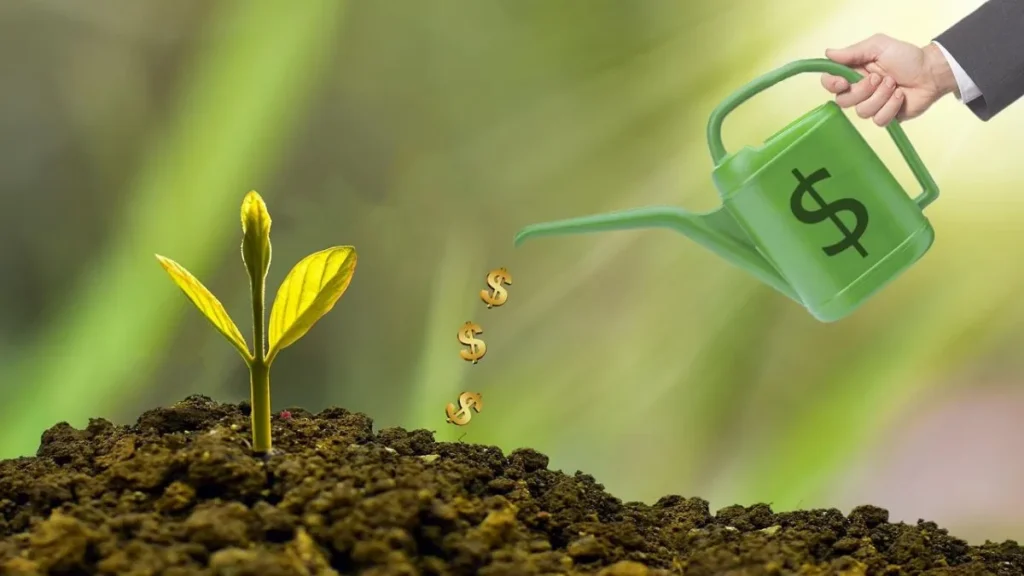 Semear bons hábitos é financeiros é prosperar no futuro